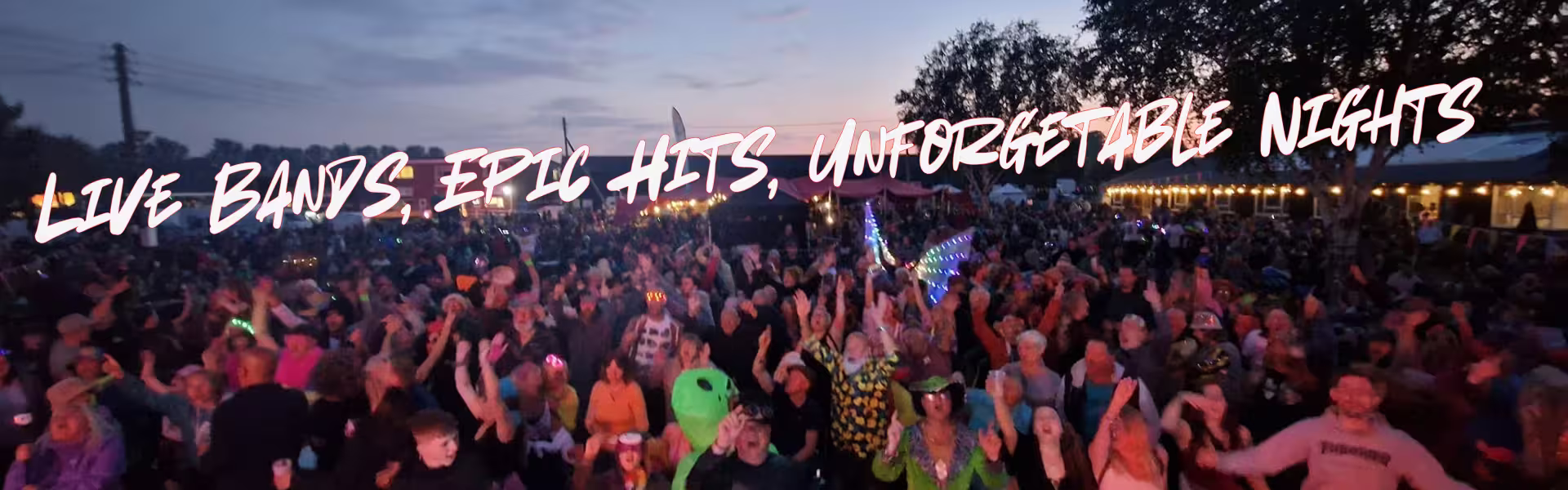 crowd shot from Kick Up The 80s Gig